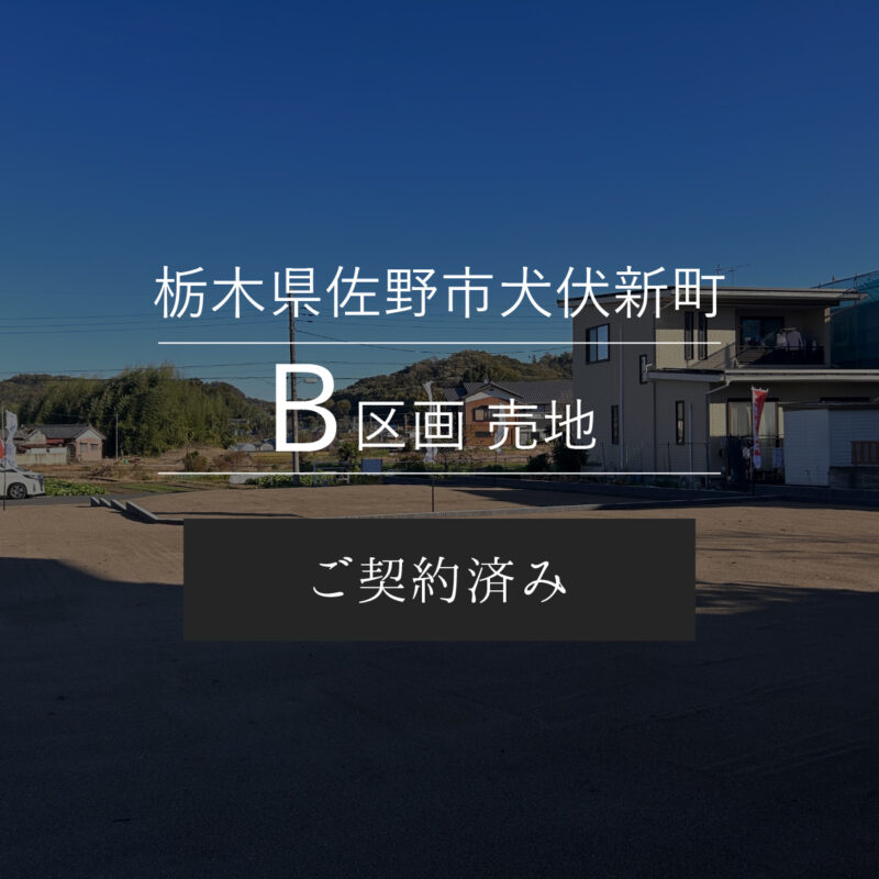 栃木県佐野市犬伏新町B区画 売地